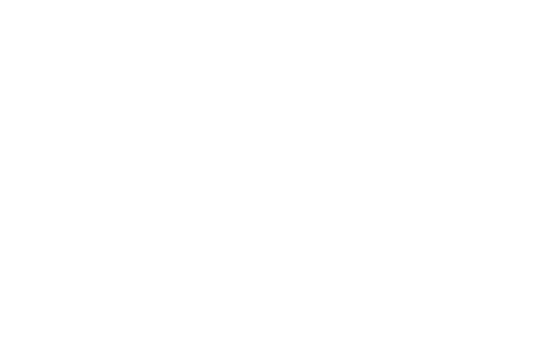 Triangle Film Fest